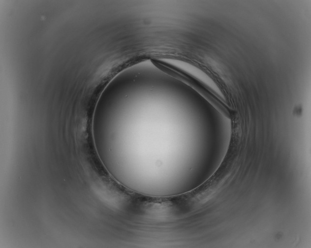 X0000093090548200709261231