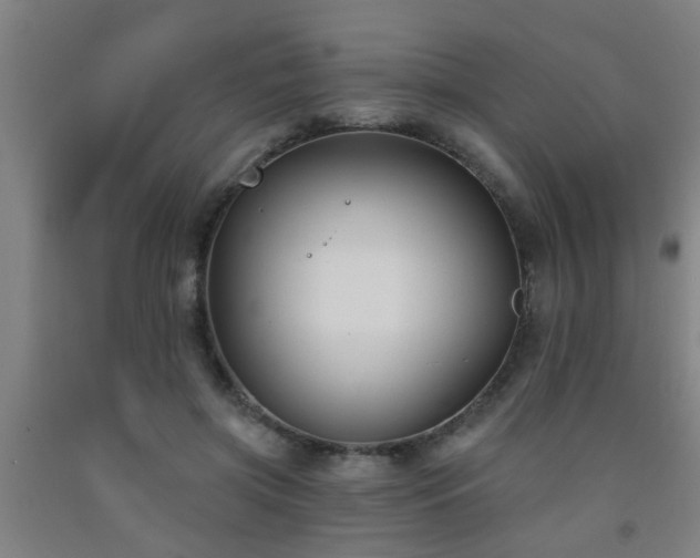 X0000093090549200709261231