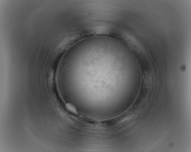 X0000093090550200709261231