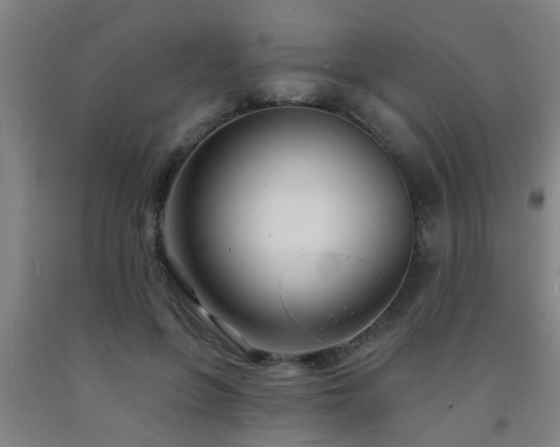 X0000093090551200709261231
