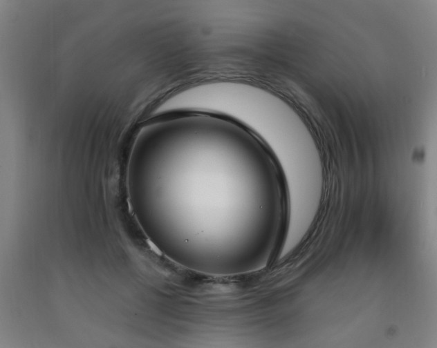 X0000093090552200709261231