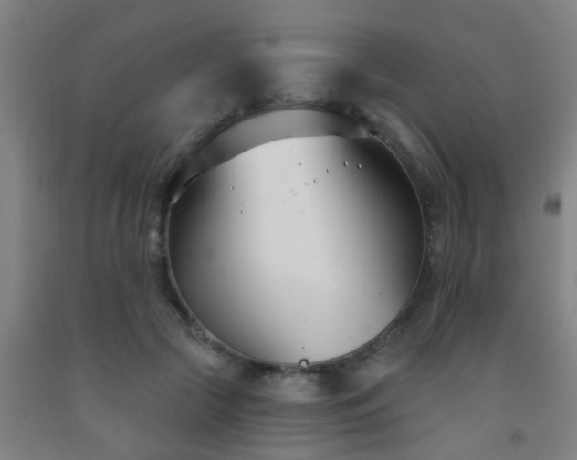 X0000093090553200709261231