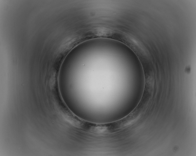 X0000093090554200709261231