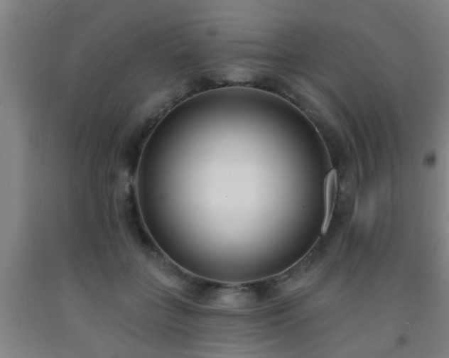 X0000093090555200709261231