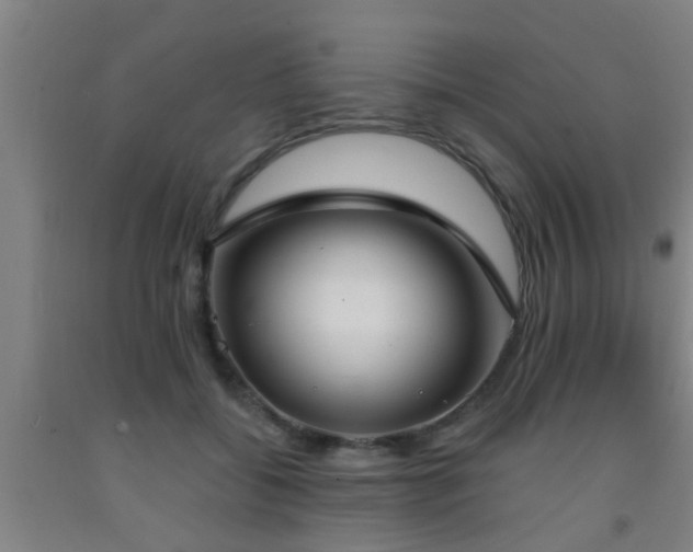 X0000093090556200709261231