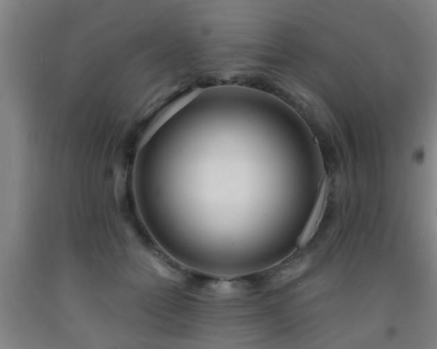 X0000093090558200709261231