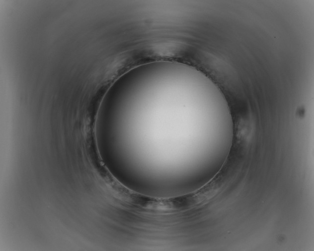 X0000093090559200709261231