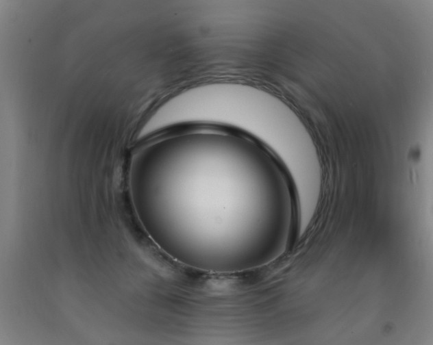 X0000093090560200709261231