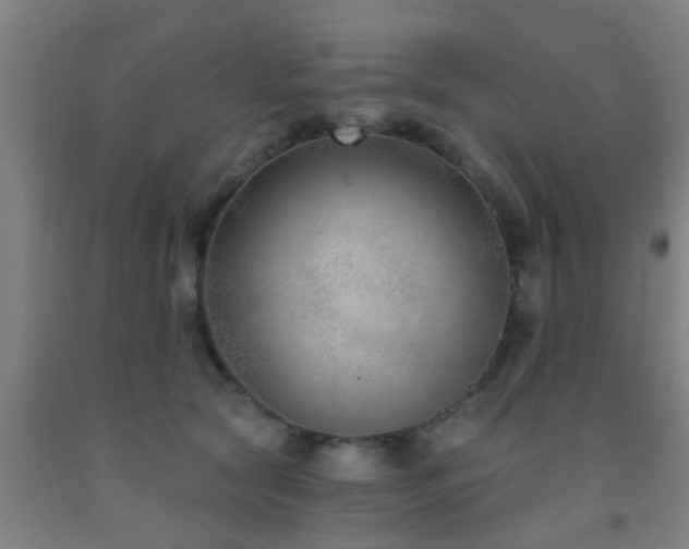 X0000093090561200709261231