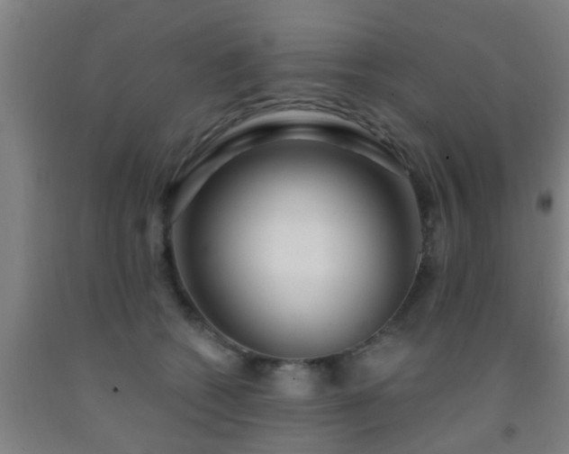 X0000093090562200709261231