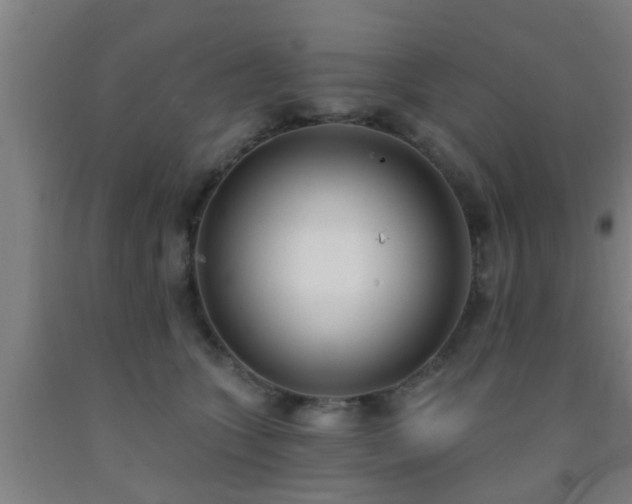 X0000093090563200709261231