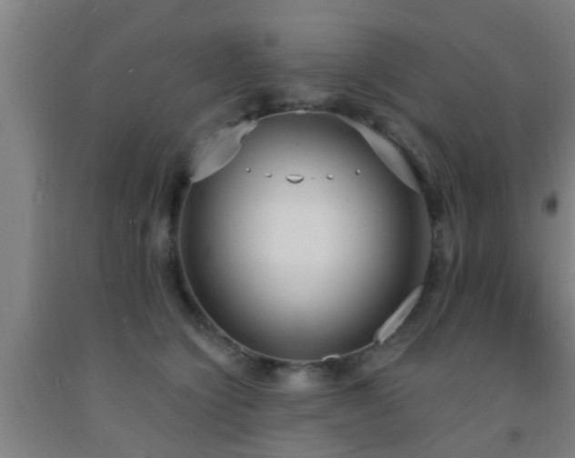 X0000093090564200709261231