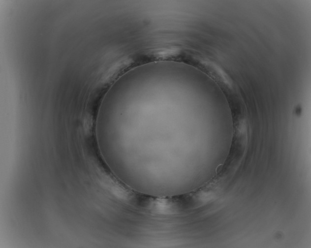 X0000093090565200709261231