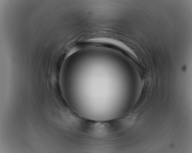 X0000093090566200709261231