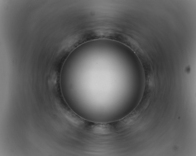 X0000093090567200709261231