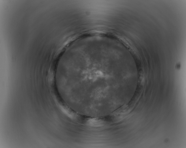 X0000093090568200709261231