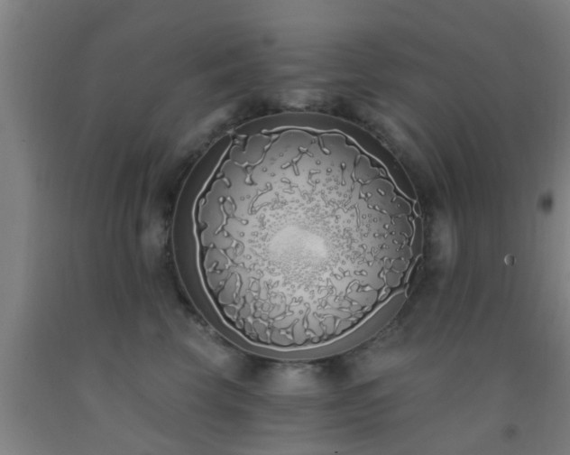 X0000093090569200709261231