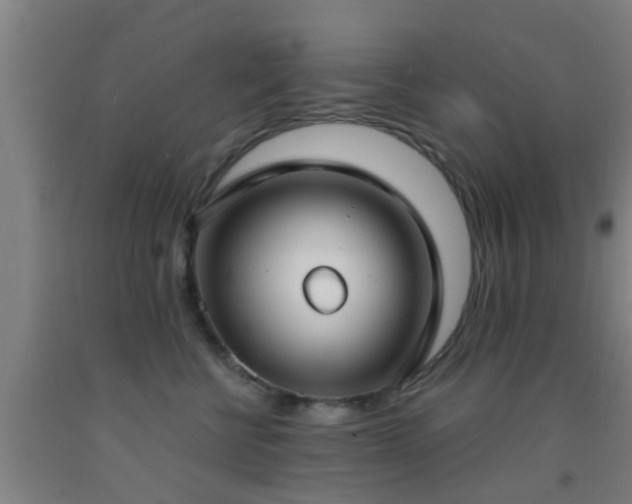 X0000093090570200709261231