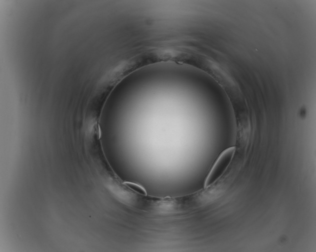 X0000093090574200709261231