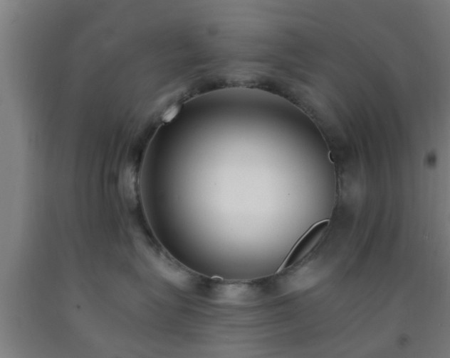X0000093090575200709261231