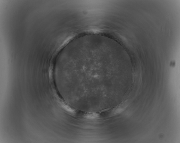 X0000093090576200709261231