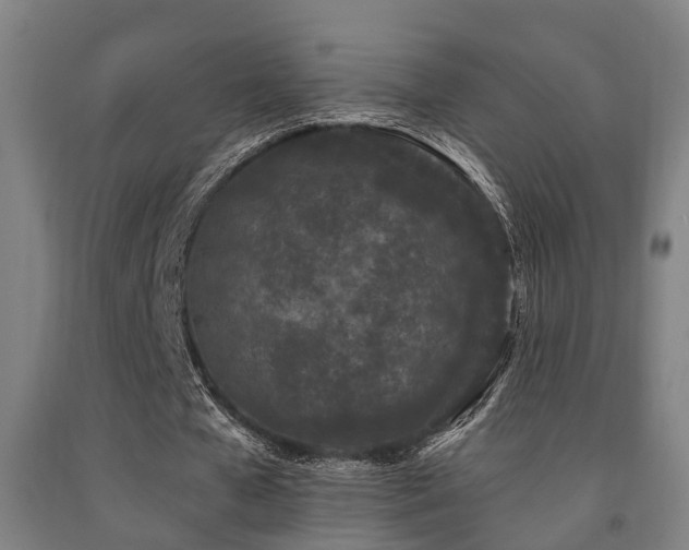 X0000093090577200709261231