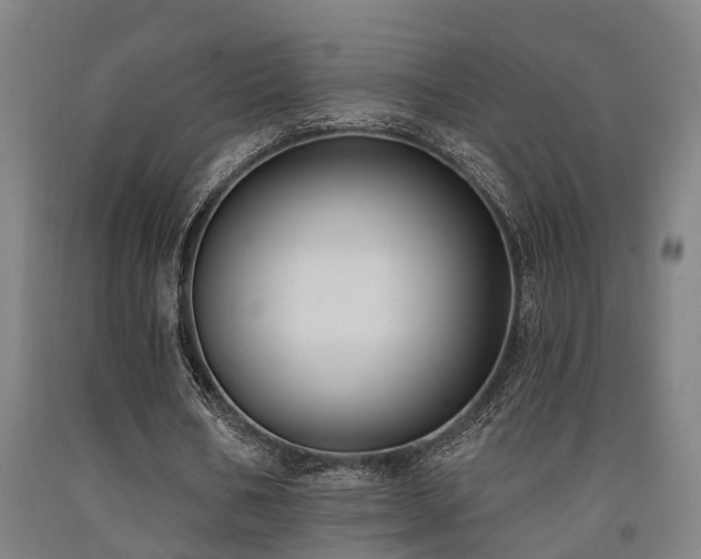 X0000093090578200709261231