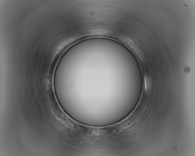 X0000093090579200709261231