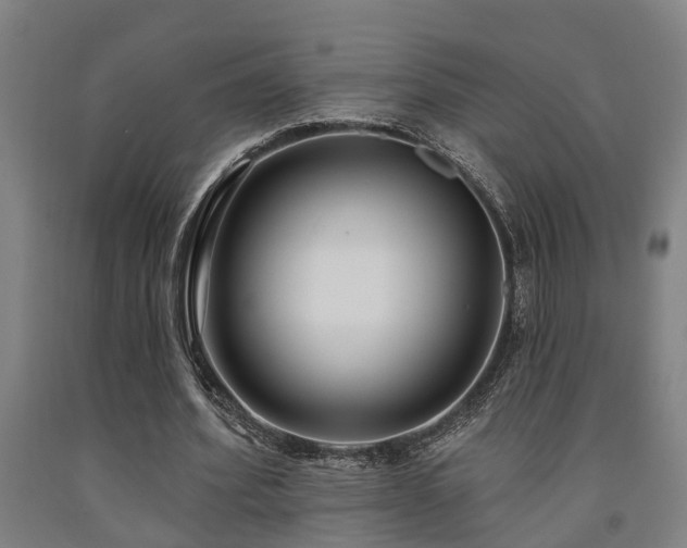 X0000093090580200709261231