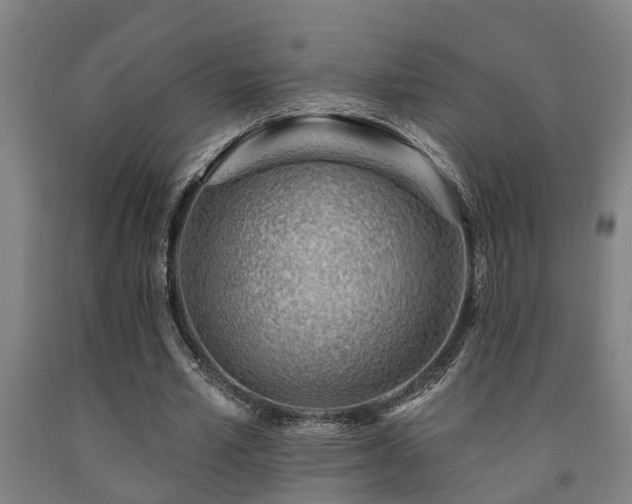 X0000093090581200709261231