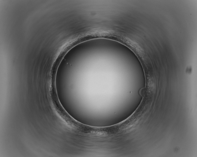 X0000093090582200709261230