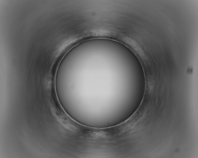 X0000093090583200709261230