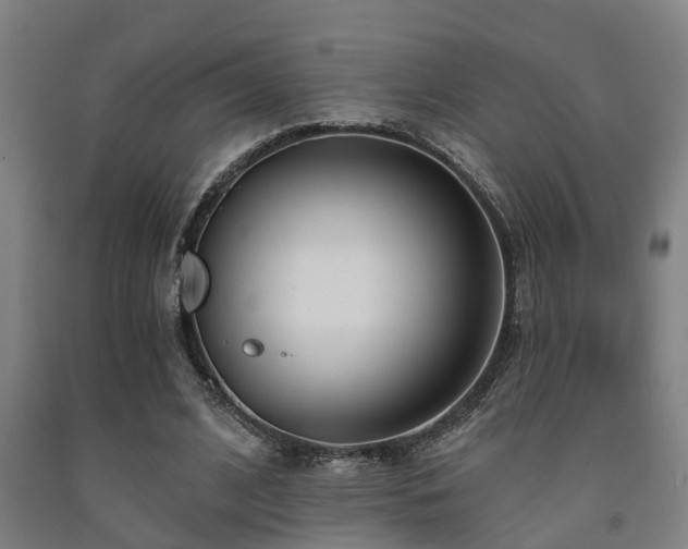 X0000093090584200709261230