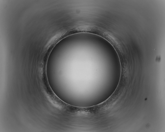 X0000093090586200709261230
