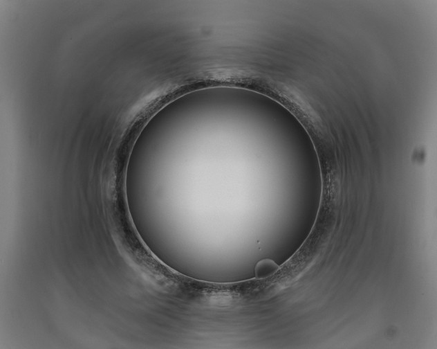 X0000093090587200709261230