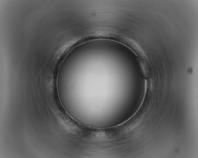 X0000093090588200709261230