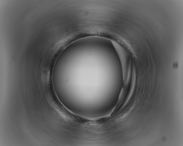 X0000093090589200709261230