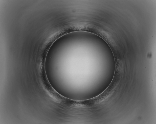 X0000093090590200709261230