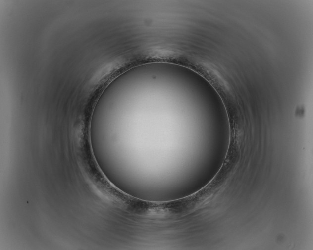 X0000093090591200709261230