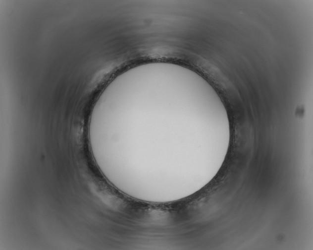 X0000093090592200709261230