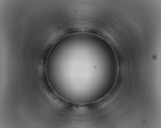 X0000093090594200709261230