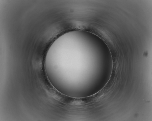 X0000093090595200709261230
