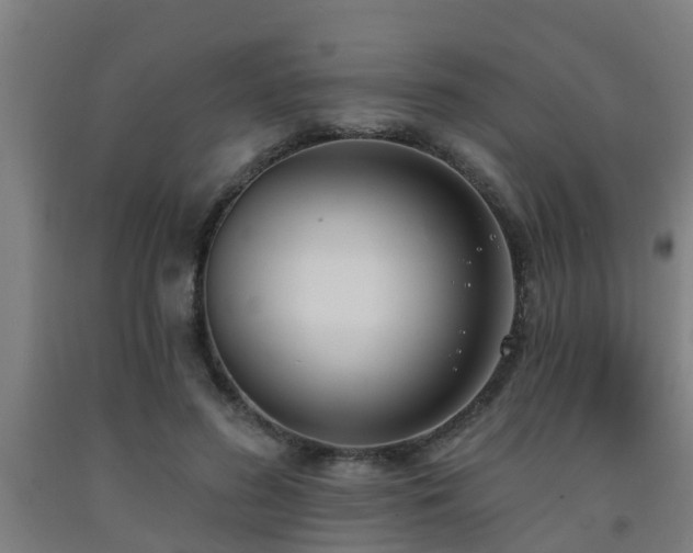 X0000093090596200709261230