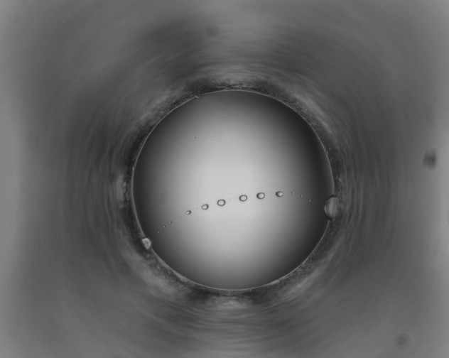 X0000093090597200709261230