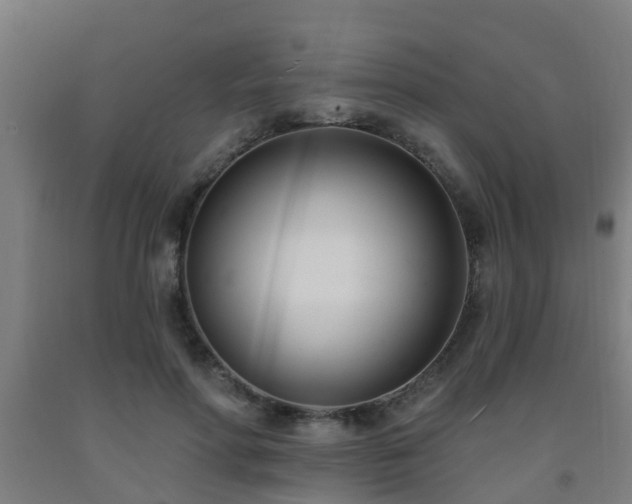 X0000093090598200709261230