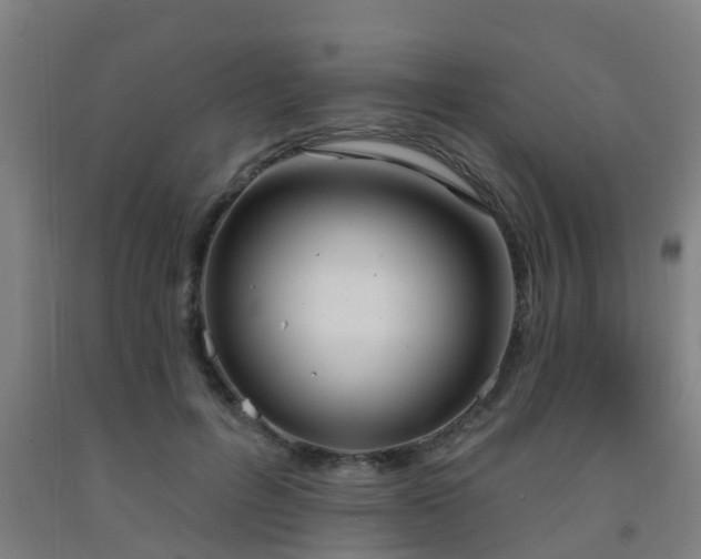 X0000093090600200709261230