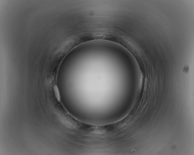 X0000093090601200709261230