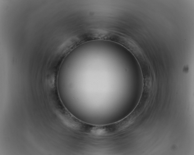 X0000093090602200709261230