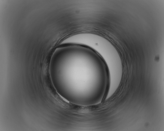 X0000093090604200709261230
