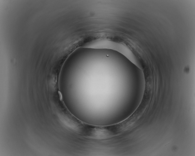 X0000093090605200709261230